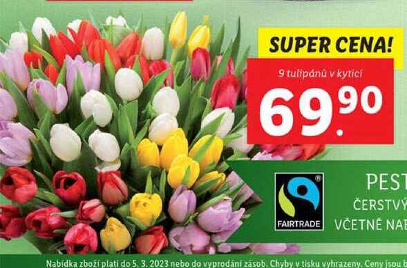 9 tulipánů v kytici