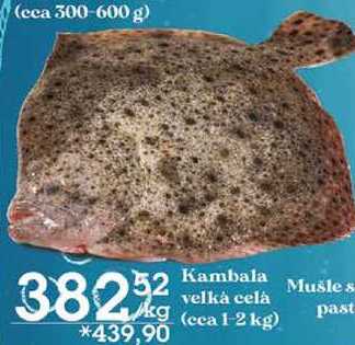 Kambala velká celá (cca 1-2 kg), 1 kg