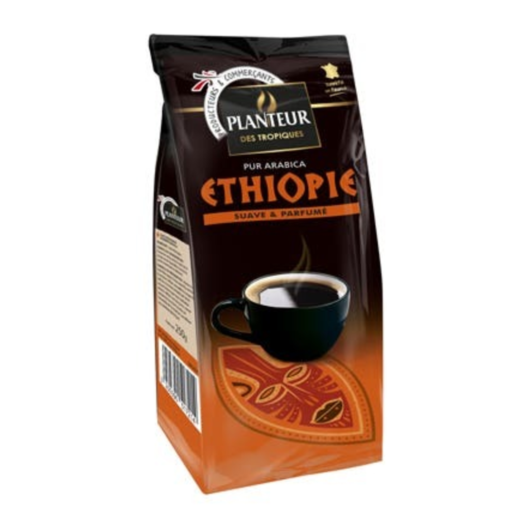 Planteur Mletá káva z Etiopie