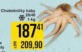Chobotničky baby sty 20/40 1 kg 