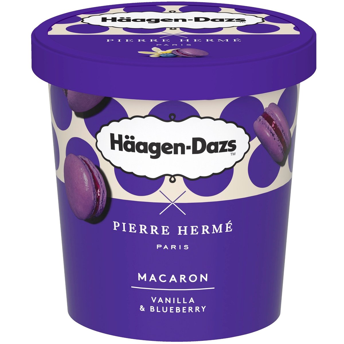 Häagen-Dazs Vanilková zmrzlina s borůvkami a s polevou a kousky makronek