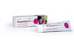 Traumaplant® mast 100 g