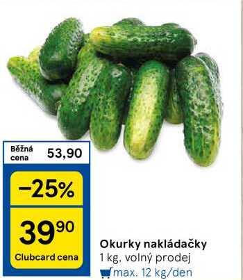 Okurky nakládačky, 1 kg