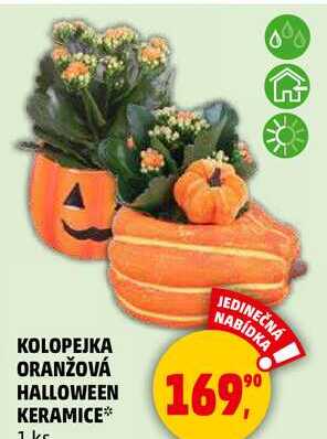 KOLOPEJKA ORANŽOVÁ HALLOWEEN KERAMICE, 1 ks 