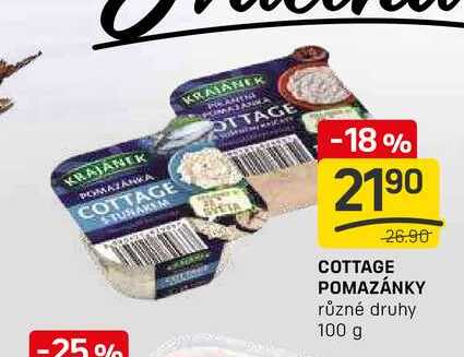 COTTAGE POMAZÁNKY různé druhy 100 g 