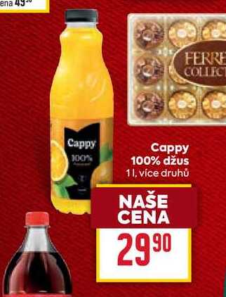 Cappy 100% džus 1l, vybrané druhy