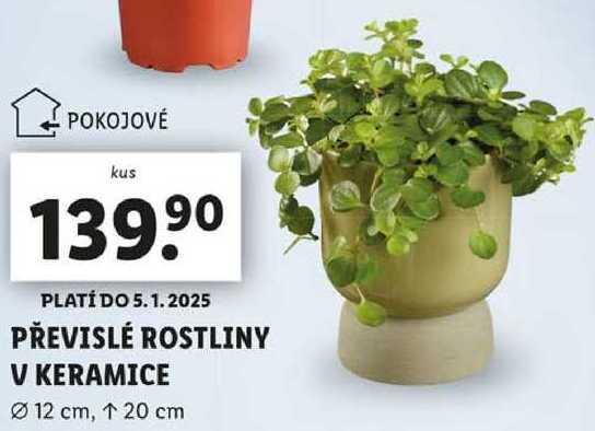 PŘEVISLÉ ROSTLINY V KERAMICE