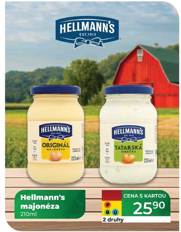 Hellmann's majonéza 210ml 