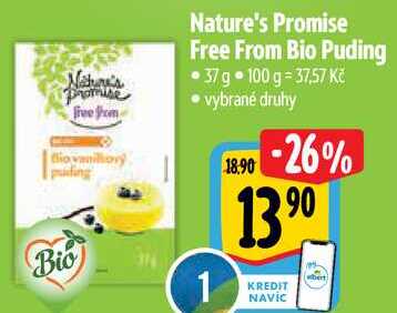 Nature's Promise Free From Bio Puding, 37 g 