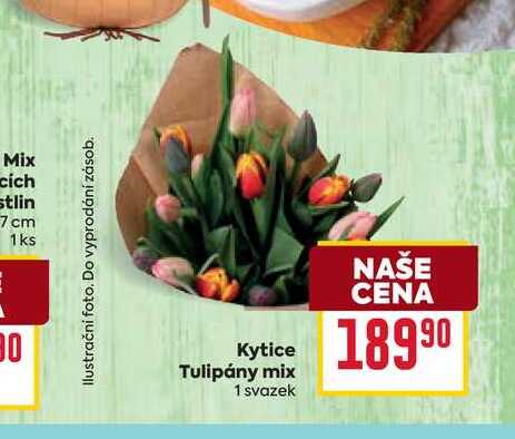 Kytice Tulipány mix 1 svazek 