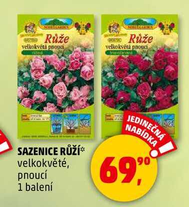 Sazenice Ruzi () Sazenice Ruzi
