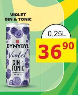 DYNYBYL GIN a TONIC Violet 0,25l