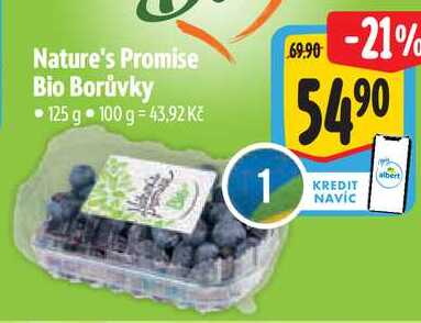 Nature's Promise Bio Borůvky, 125 g