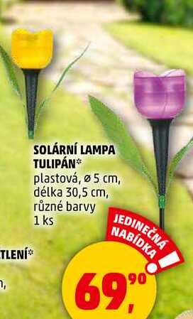 SOLÁRNÍ LAMPA TULIPÁN plastová,5 cm, délka 30,5 cm, 1 ks