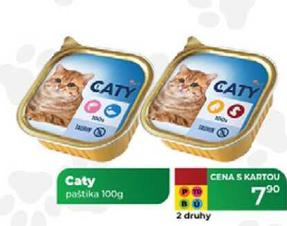 Caty paštika 100g 