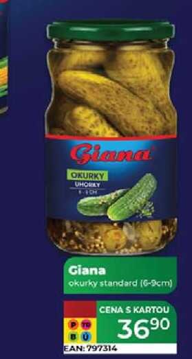 Giana okurky standard (6-9cm)  