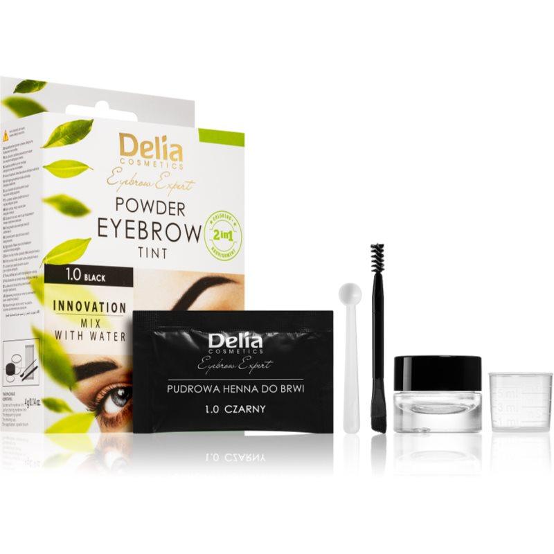Delia Cosmetics Eyebrow Expert tónovací barva na obočí odstín 1.0 Black 4 g