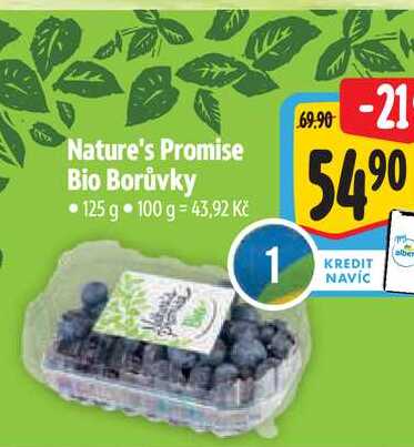Nature's Promise Bio Borůvky 125 g  