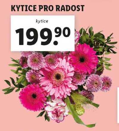 KYTICE PRO RADOST 