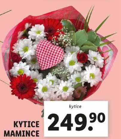 KYTICE MAMINCE 