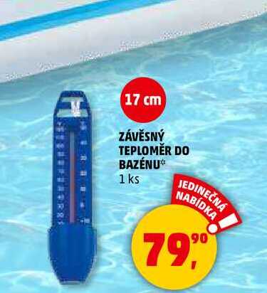 ZÁVĚSNÝ TEPLOMĚR DO BAZÉNU, 1 ks 