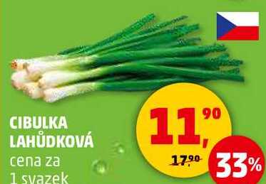 CIBULKA LAHŮDKOVÁ, 1 svazek 