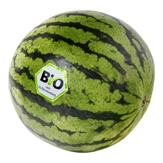 Bio Meloun Mini vodní  1kg  