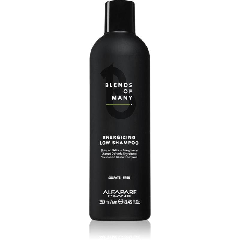 Alfaparf Milano Blends of Many Energizing energizující šampon pro jemné a zplihlé vlasy 250 ml