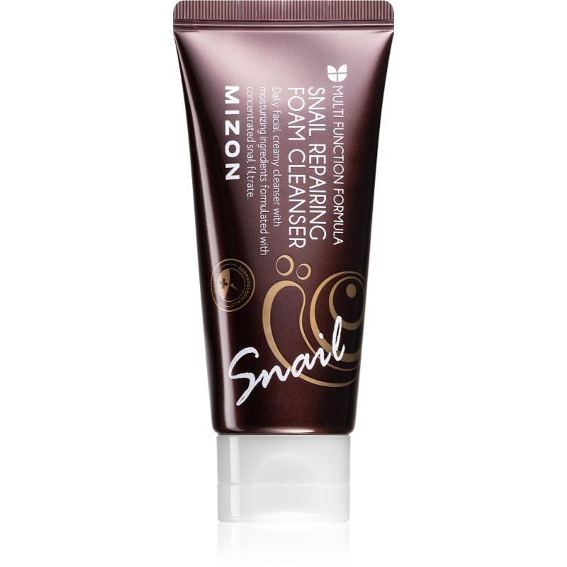 Mizon Multi Function Formula  Snail čisticí pěna 60 ml