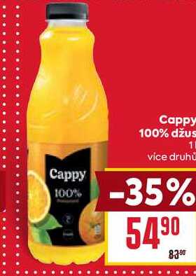 Cappy 100% džus 1l