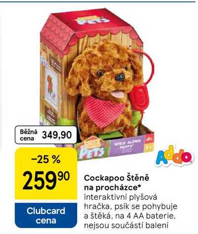 Cockapoo štěně na procházce 
