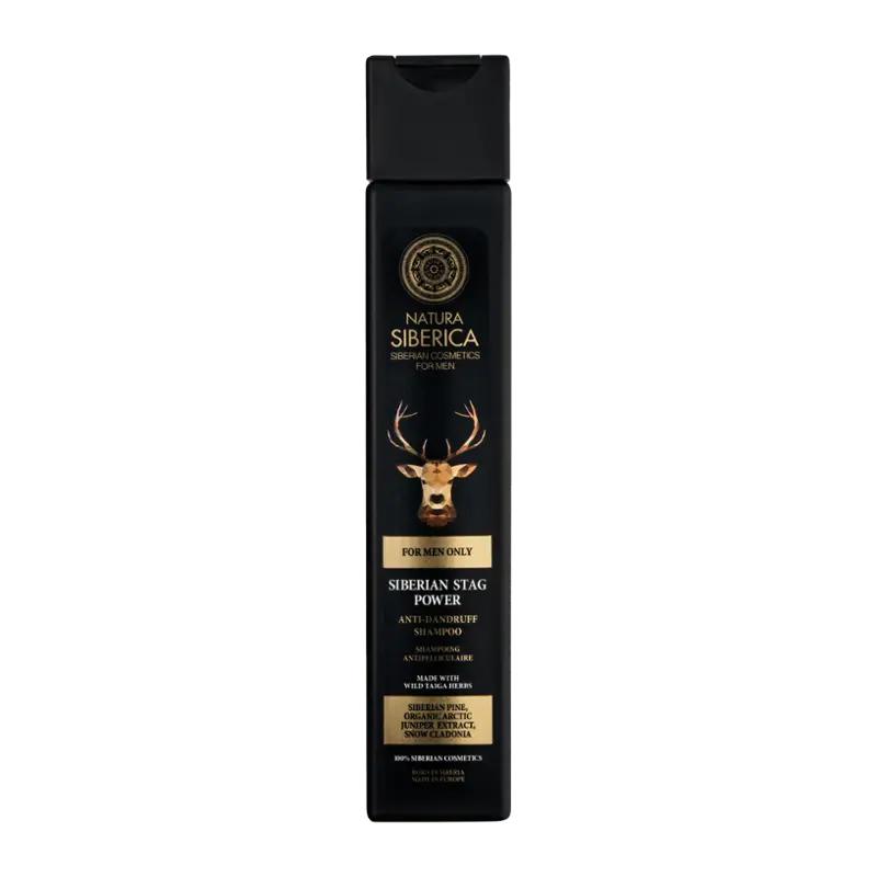 Natura Siberica Šampon proti lupům, 250 ml