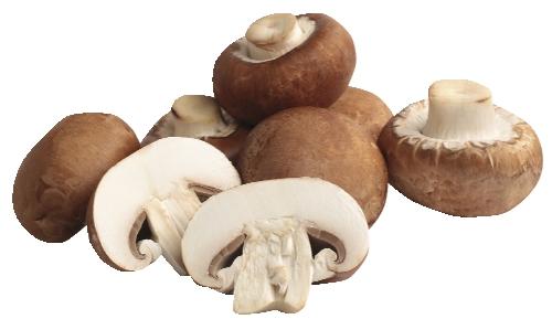 Žampiony krémové, 250 g