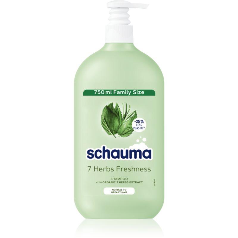 Schwarzkopf Schauma 7 Herbs bylinný šampon pro normální až mastné vlasy 750 ml