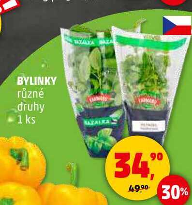 BYLINKY různé druhy, 1 ks 