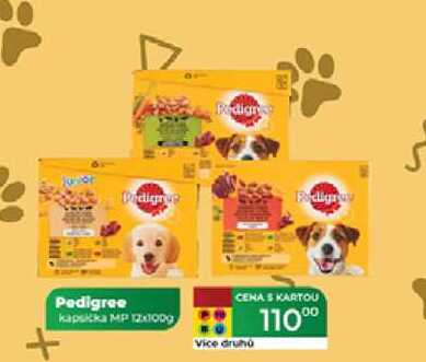 Pedigree kapsička MP 12x100 g