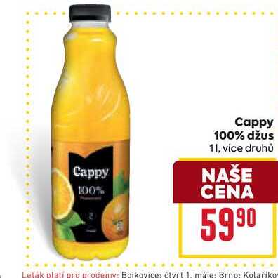 Cappy 100% džus 1l