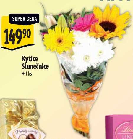 Kytice Slunečnice