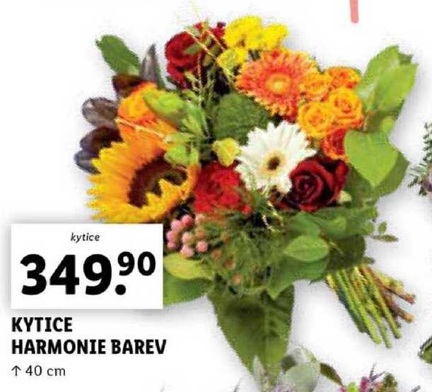 KYTICE HARMONIE BAREV 