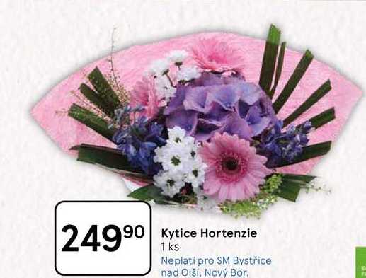 Kytice Hortenzie, 1 ks 