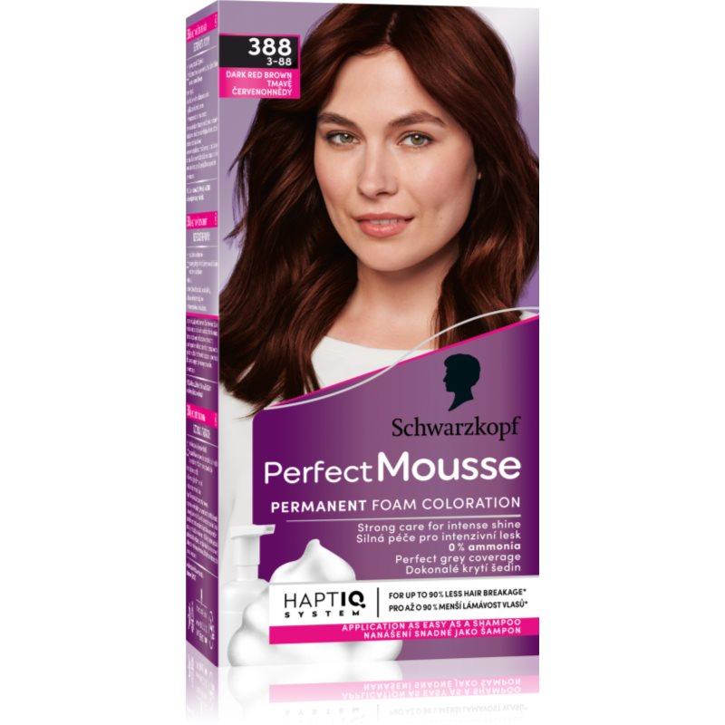 Schwarzkopf Perfect Mousse permanentní barva na vlasy odstín 388 Tmavě červenohnědý 1 ks