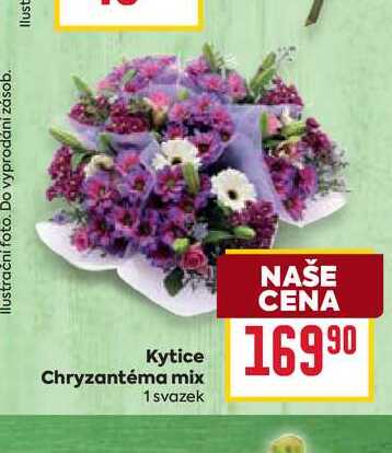 Kytice Chryzantéma mix 1 svazek 