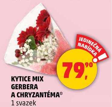 KYTICE MIX GERBERA A CHRYZANTÉMA, 1 svazek 