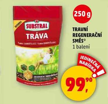 TRAVNÍ REGENERAČNÍ SMĚS, 1 balení  