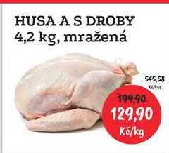 HUSA A S DROBY 4,2 kg, mražená 1kg 