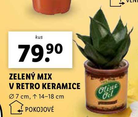 ZELENÝ MIX V RETRO KERAMICE
