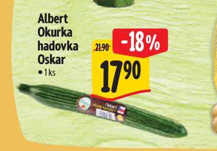 Albert Okurka hadovka  1 ks