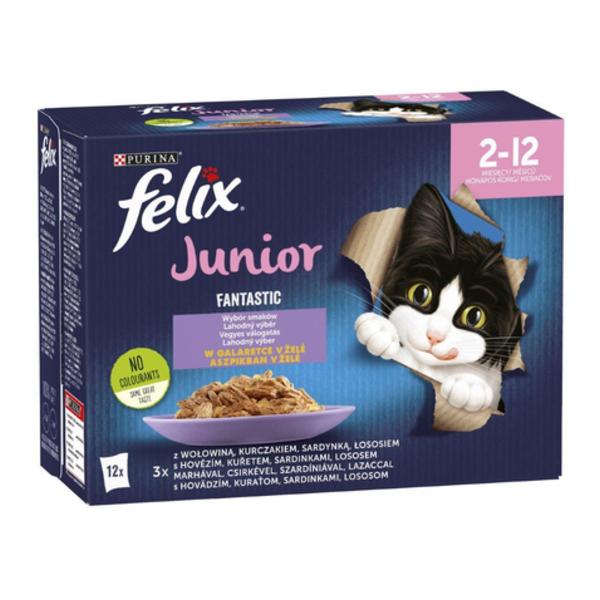 Felix Purina Junior s kuřetem v želé 12x85g