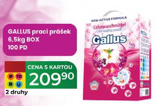 GALLUS prací prášek 6,5kg BOX 100 PD  