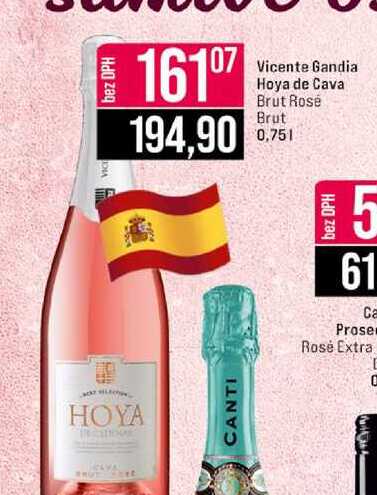 Vicente Gandia Hoya de Cava Brut Rosé Brut 0,75l